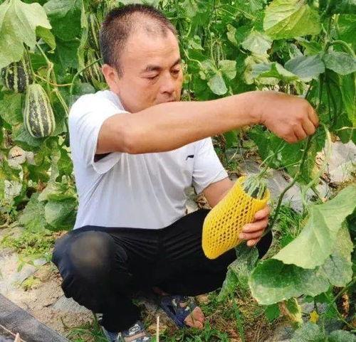 海角网暴吃瓜网