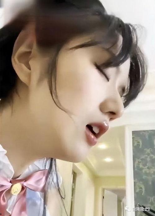 吃瓜视频在哪看网红的视频,网红视频一网打尽