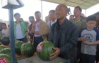 网红抗疫动员吃瓜群众