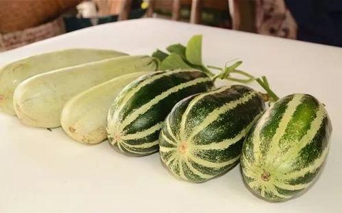 吃瓜的网红叫啥来