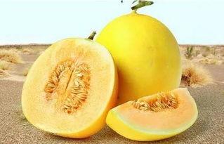 166su.吃瓜网,揭秘娱乐圈幕后故事，带你领略明星真实生活