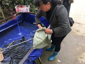 五八吃瓜群众网,揭秘网络舆论场中的“吃瓜群众”现象