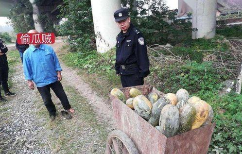 武都网红吃瓜事件真相视频,真相视频曝光背后的惊人内幕