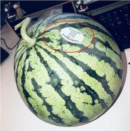 网红吃瓜排行,揭秘热门事件背后的热门人物