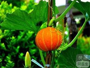 吃瓜网s,带你领略网络舆论新风向