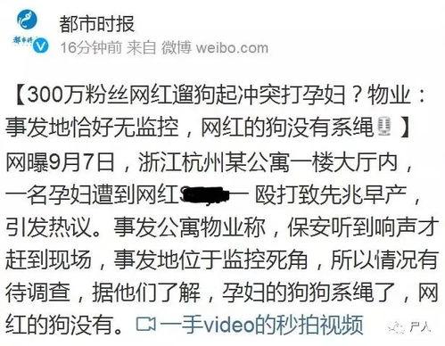 吃瓜40万网红,揭秘40万粉丝网红的吃瓜传奇