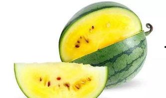 网红吃瓜情报处在哪里,追踪热点背后的秘密