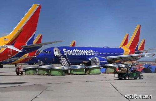 西南航空网课吃瓜,一场吃瓜群众的围观盛宴