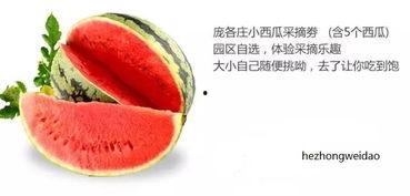 吃瓜中心官网入口